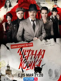 Чёрная кошка
